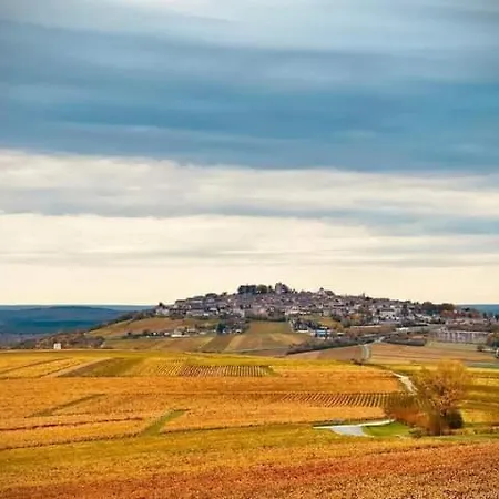 Gite Entre Vignes Et Loire Thauvenay Exterior photo